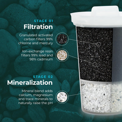 Coupe du filtre de la carafe alcaline MINA de Santevia montrant le charbon actif granulé et les minéraux dans le filtre.