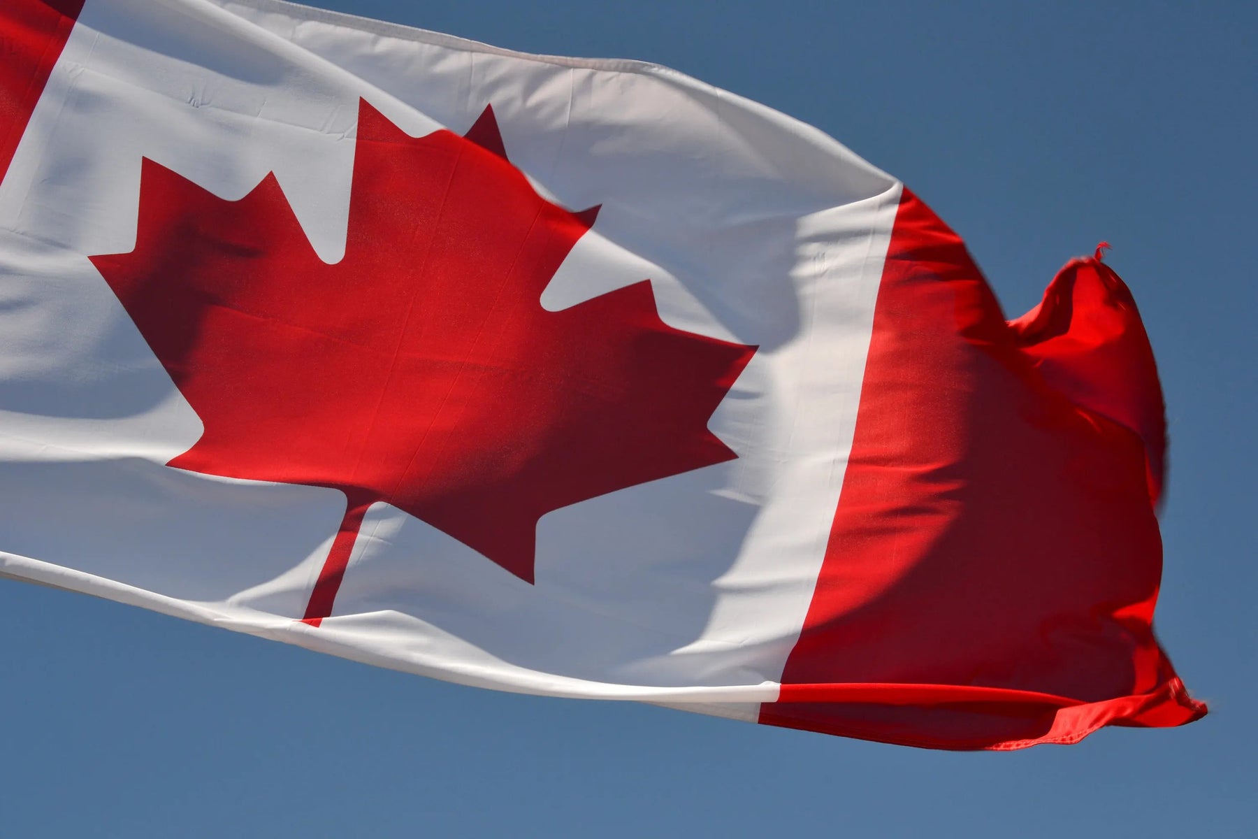 Le drapeau canadien flottant dans le vent, sur un fond bleu.