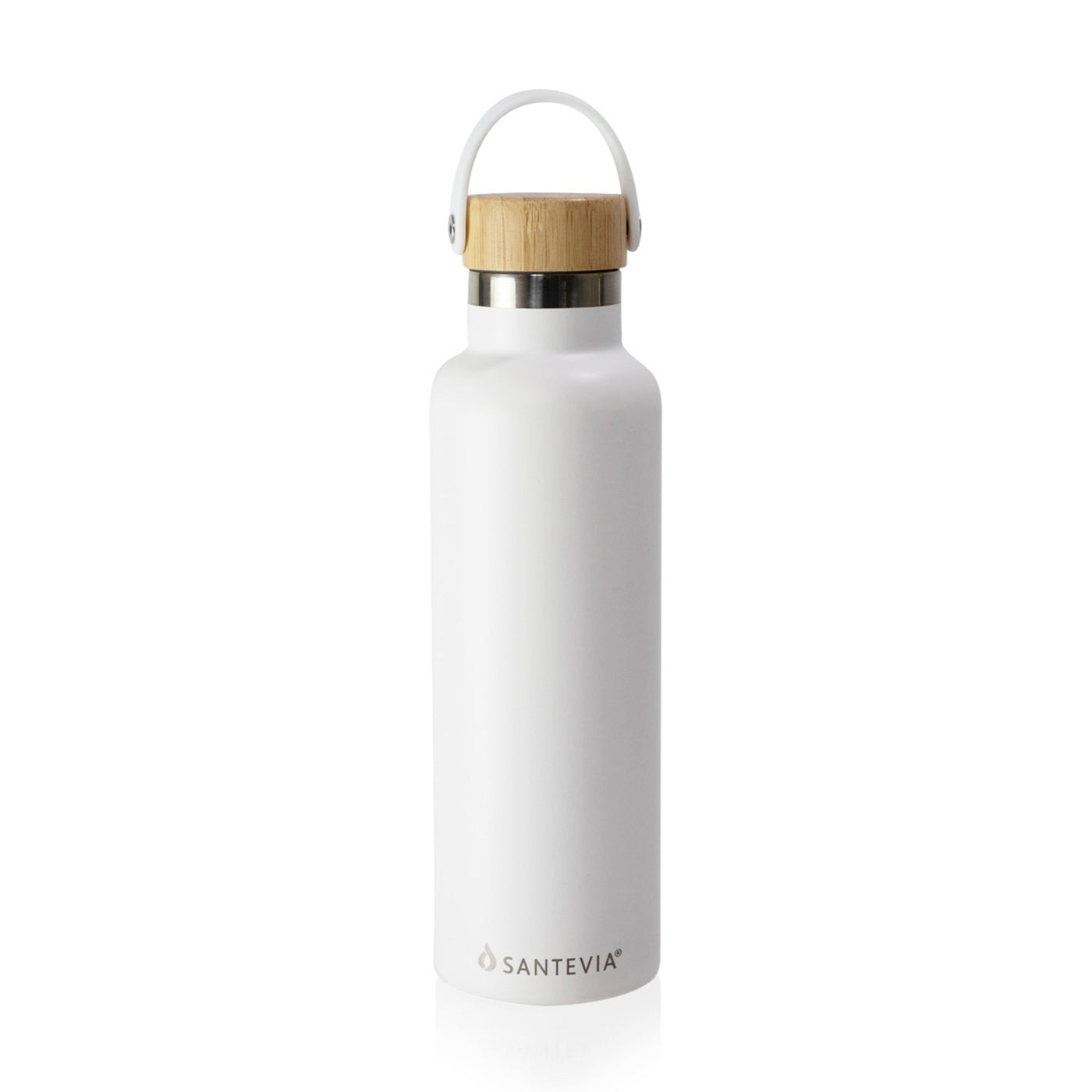 Stainless Steel Bottle